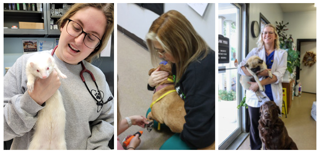 Staff Members Holding Pets During Appointments